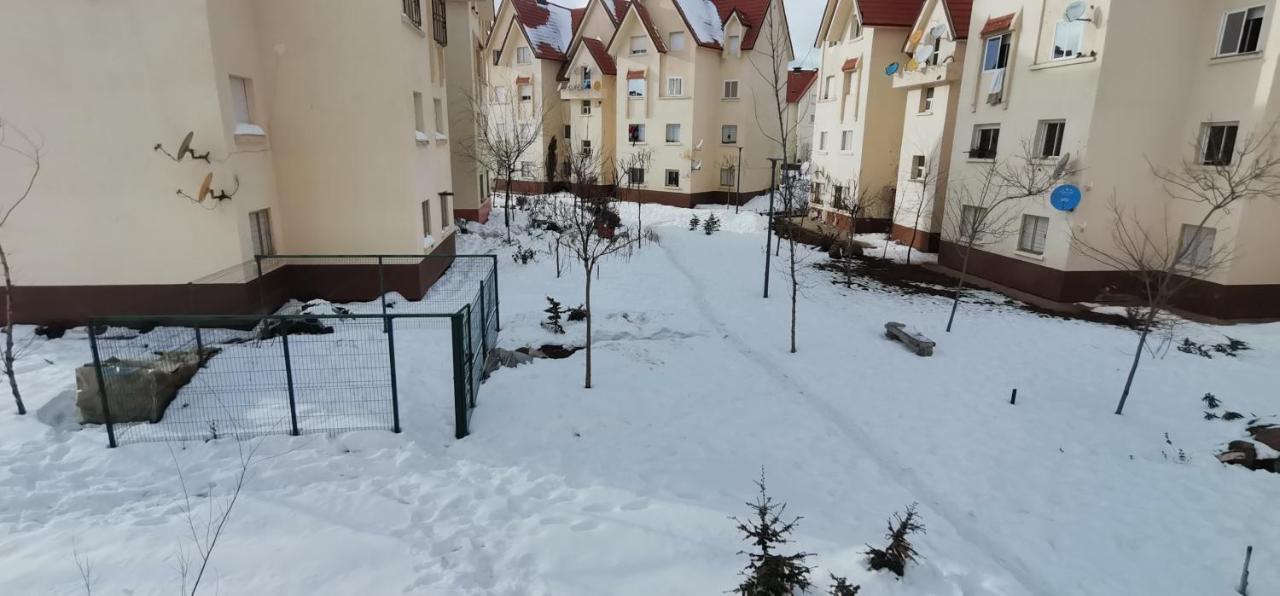 Appartement Au Jardin イフレン エクステリア 写真